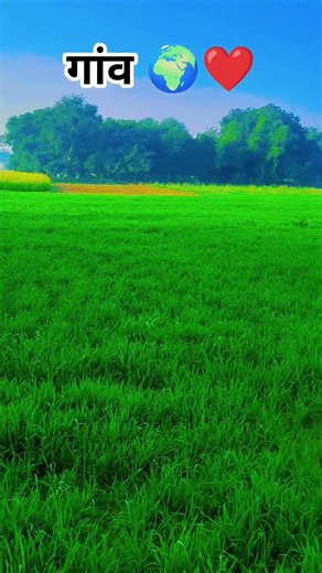 गांव 🌍🌾 #vairal #farming #video #trending #agriculture #farming #farmer #khetibadi 🌱
