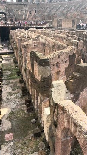 The truth inside the Colossem