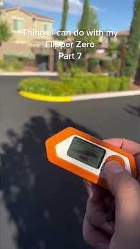 Flipper Zero Opening GATE #shorts