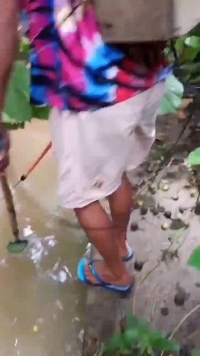 18K views · 204 reactions | Full vedio | Rudge Cafee | Facebook