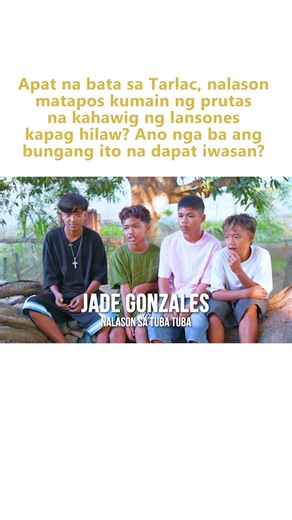 Apat na bata sa Tarlac, nalason matapos kumain ng prutas na kahawig ng lansones kapag hilaw? Ano nga ba ang bungang ito na dapat iwasan? #KMJS | Kapuso Mo, Jessica Soho | Kapuso Mo, Jessica Soho (One at Heart, Jessica Soho)