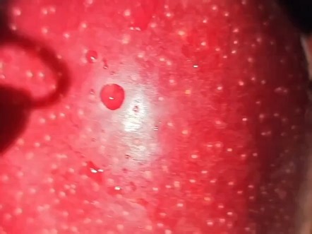 12.14-12.21第十五周修订版