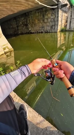 Commercial Fishing #creatorsearchinsights #angeln #fishing #catchandrelease #fishinglife #nature #barsch #fish #zander #carpfishing #hecht #pike #carp #perch #karpfen #karpfenangeln #raubfisch #predatorfishing #bigfish #angling #raubfischangeln #angler #barschangeln #vissen #pikefishing #fischen #hechtangeln #perchfishing #fishingislife #zanderangeln #bassfishing