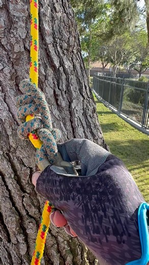 Este nudo de trepa te cambia elJuego| Knut Hitch explicado #treework #climbing #arborismo #cuerdas