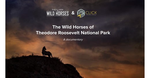 Wild Horse Documentary Begins Production, Partners with North Dakota’s Click Content Studios of Forum Communications