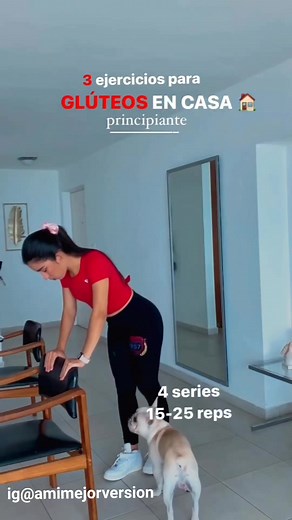 22K views · 509 reactions | 3 ejericios en casa para principiantes Estos ejercicios son para principiantes recuerda que si quieres ver resultados debemos ir añadiendo peso con el tiempo pero son una muy buena opción para cuando estás iniciando y no cuentas con mucho equipo Rutina completa en @amimejorversion siguela YA y aprende a entrenar bien @amimejorversion  | Ejercitate en casa | Facebook