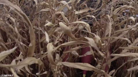 10 AMAZING INVENTIONS AND TECHNOLOGIES THAT YOU HAVEN'T SEEN BEFORE