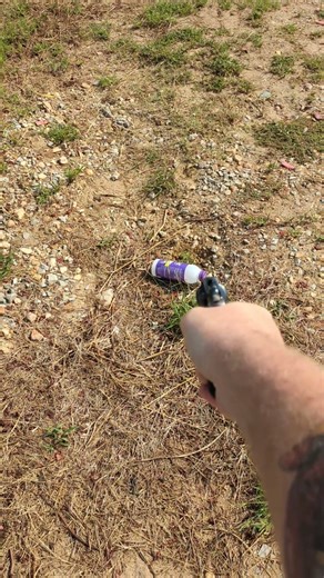 Colt Police Positive 32