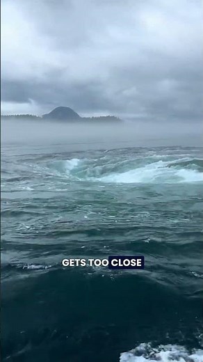 The Deadly Beauty of a Whirlpool