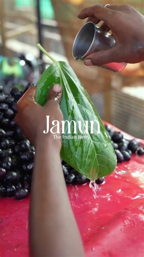 || Jamun The Indian Berry | Nature's Purple Superfruit 🍇||#Jamun #IndianBerry #FruitLovers