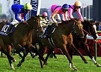 World's Leading Money Earner, T.M. Opera O, Retired