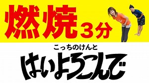 【こっちのけんと】3分「はいよろこんで」で燃焼やぁああ🔥 – タビワダンス / tabiwadance