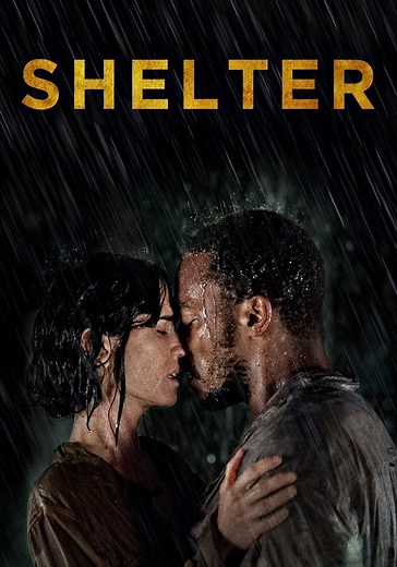 Shelter - movie: where to watch stream online