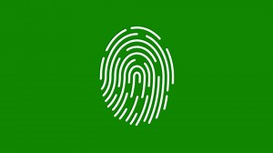 Fingerprint Scanner Animation On Green Stock Motion Graphics SBV-348487464 - Storyblocks