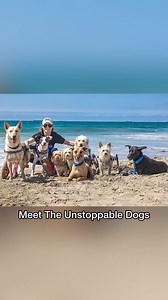 59K views · 4.4K reactions | Meet The Unstoppable Dogs!This is the real life story of 11 disabled dogs who find the one woman who heals, loves, and shows them what living a dog’s best life is all about. These dogs are setting their sites out to change lives by bringing hope, joy and inspiring everyone they meet. .#unstoppable #love #makeadifference | The Unstoppable Dogs | Facebook