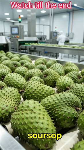 Don't Throw Soursop Peels Away! Factory Transformation 😱🏭