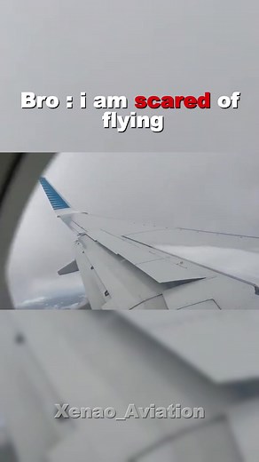 The Rigorous Testing of Aircraft Wings Explained