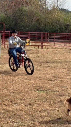Urban Assault Bicycle on Reels
