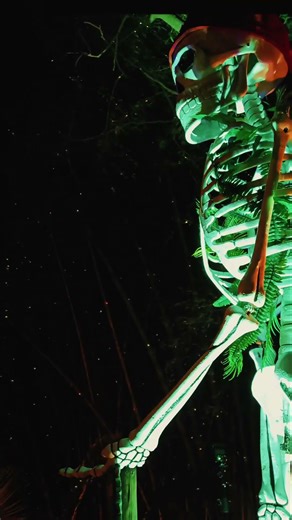 I Tested GoMining: Is It Worth It?