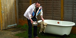 Taskmaster: Series 11, Episode 7 - You've Got No Chutzpah - British Comedy Guide