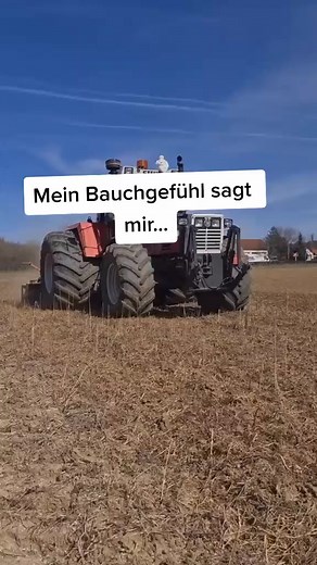 #wirgebennieauf #fyp #fy #viral #ladwirtschaftausleidenschaft #bergbauer_army #foryou