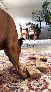 🐶☕️ Who let the dogs out... to fetch coffee pods?! 🐾🎉 Looks like someone’s got pawsome taste in brews! 🐾 (Because fetching Urban Brew is a fur-midable skill!) 🐕💪 We'll be sending some FREE coffee pods right out to you for sharing this @ROUBAIX___👏 Think your #UBmoment has what it takes to make it to our socials? Simply tag us @urbanbrewpods #UBmoment for your chance to win FREE coffee pods! bit.ly/UrbanBrewMoments Toby 😊 Founder & Customer Happiness Specialist | Urban Brew Coffee