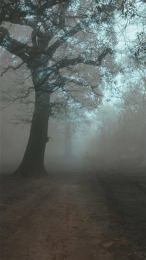 🩸 No one believed this story: When the elevator in my apartment building breaks down, the repair ...