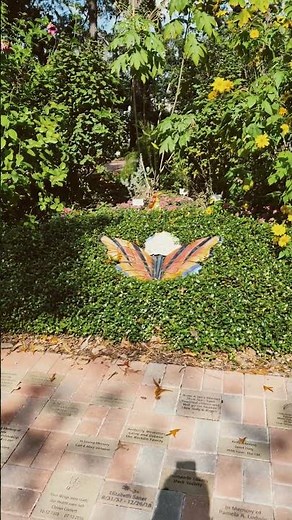 Nature Coast Botanical Gardens in Spring Hill Florida Part 9