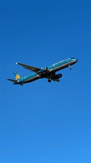 Vietnam Airlines Airbus A321 Flying Overhead ✈️🇻🇳