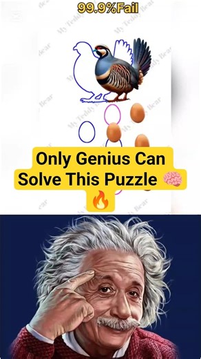 99% Fail This Egg Puzzle 🥚😱 | Can You Solve It? #mindblowing #mindchallenge #youtubeshorts #iqtest