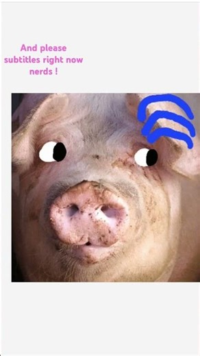 Talking Pig Android Port - Gameplay for @talkingolileowl