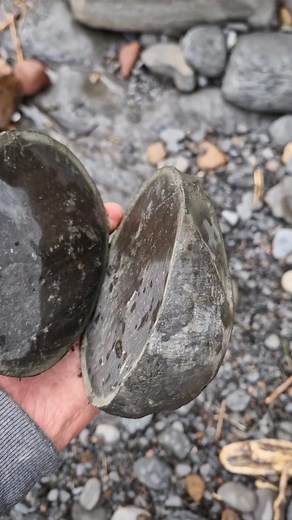Cracking open cannonball nodules on the beach! 💣💥 #fossilhunting #fossils #reel #coast #rock #sea #beach #cannonball #nodule | All about the Fossils