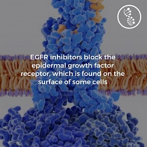 12 reactions | EGFR INHIBITORS https://williamscancerinstitute.com/egfr-inhibitors/ | Williams Cancer Institute | Facebook