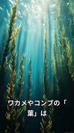実は全然違う！驚きの「葉っぱ」の正体・戦略