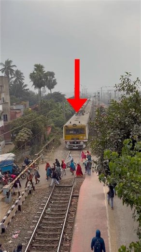 EMU Local Coming #shorts #trainvideo