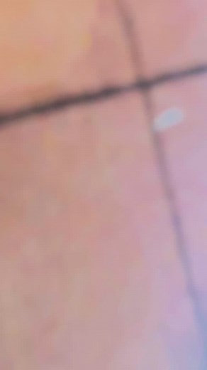 8.9K views · 1.1K reactions | Ad finem  #levski #sectorb #ultras #ultraslevski #ultrasmentality #ultrasworld #pyro #ultrasworld #tifo #passion #tifosi #nopyronoparty #choreography #art | QUOS DEUS VULT PERDERE | Facebook