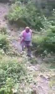 19K views · 118 reactions | Bolos estos  | Guanako 503 | Facebook