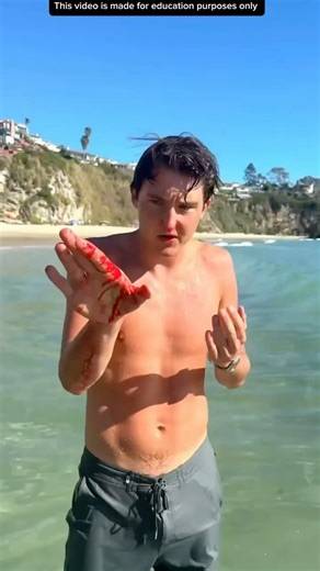 CARA NGETES HIU DI LAUT⁉️#videoviral #edukasi #information