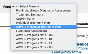 The ARMHS Individual Treatment Plan - BreezyNotes EHR