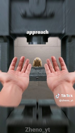 Exploring the Immortal Tardigrade: Nature's Resilient Creature