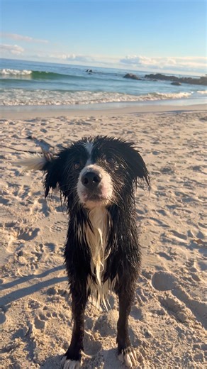 7.5K views · 18 reactions | Life is better at the beach.  #allthingssimple #springoutfits #beachday | Mark's | Facebook