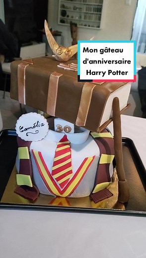 Merci énormément à mes parents 😭🥰 le plus beau gateau d'anniversaire de ma vie! #harrypotter #collectionharrypotter #harrypotterfrance