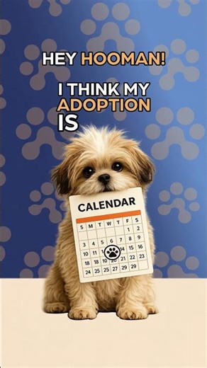 Find Your Forever Friend 🐶❤️ | The Breeders Showcase App