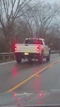 Mother Horse Protects Her Baby on Busy Road 🐎❤️ | Heartwarming Animal Moment