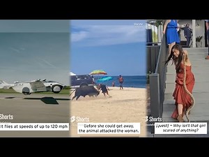 Inside Edition May 2024 Must See Shorts I Livestream