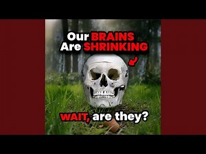 Our Brains Are Shrinking