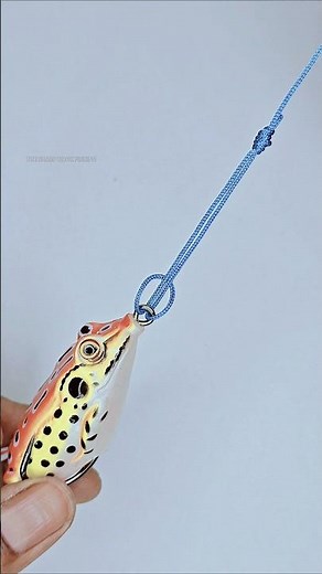 🎣HOW TO TIE SURGEONS LOOP KNOT FOR FISHING #fishing #shorts #fish #carpfishing #trending