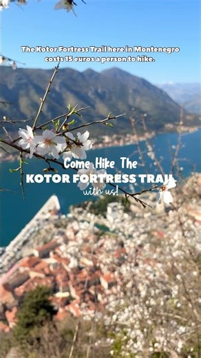 Come Hike the KOTOR FORTRESS Trail with us!🇲🇪 #montenegro #kotor #traveleurope #hikingadventures