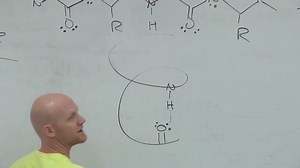 3.1 Protein Structure - Chad's Prep®