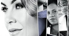 ANATOMÍA SEGÚN GREY - Temporada 17 Completa en Español